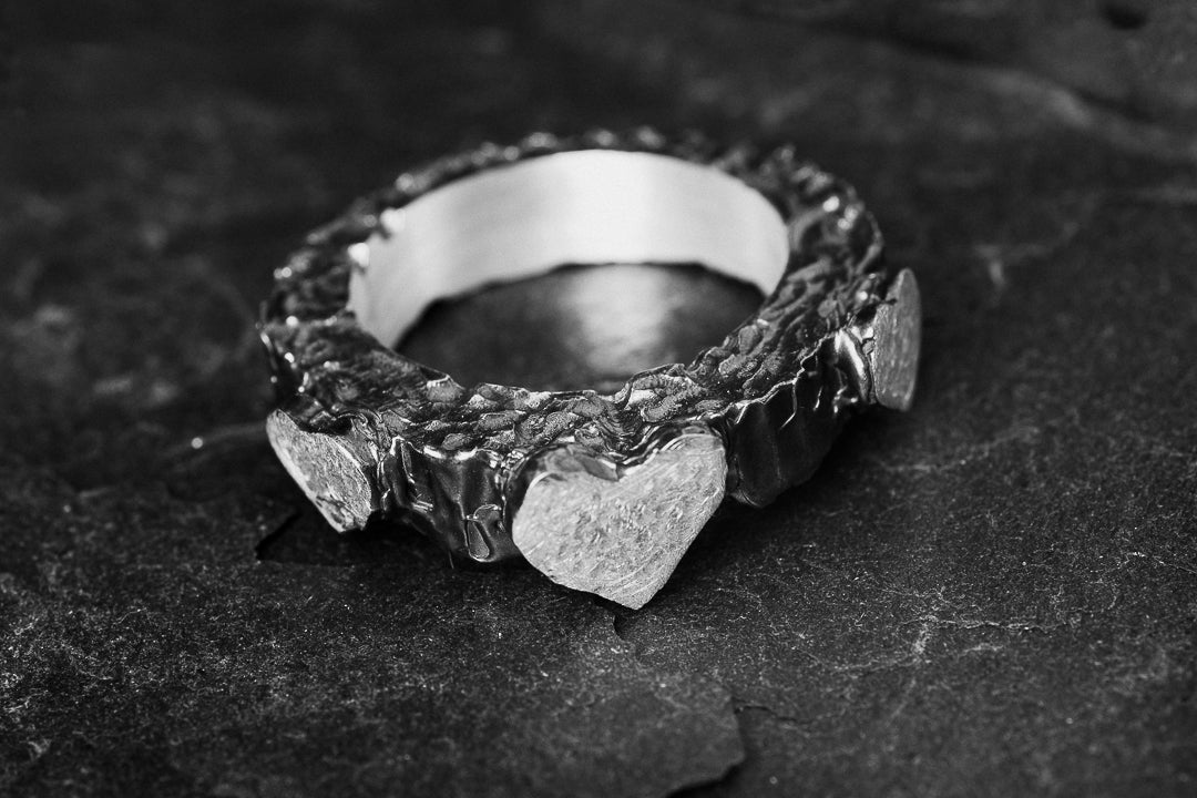 Ring 3 CORS