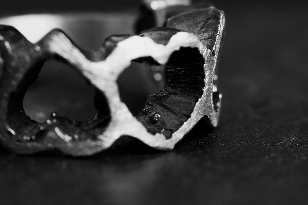 Ring 5 CORS